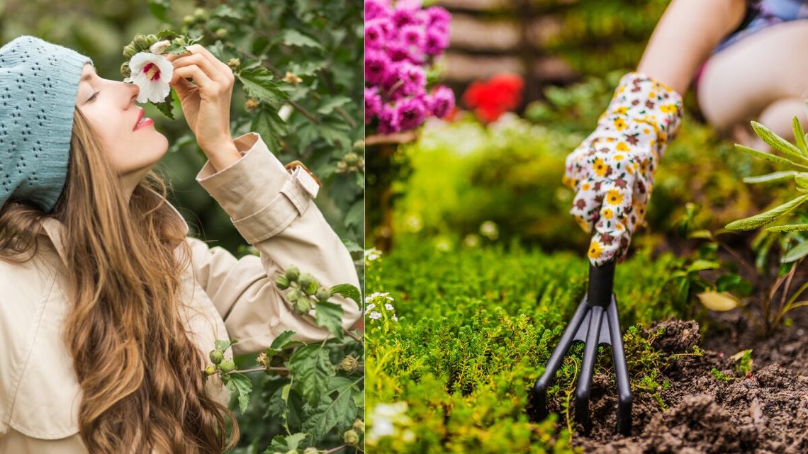 Pierwsza wiosna zacznie się 20 marca, druga dzień później Pierwsza wiosna zacznie się 20 marca, druga dzień później