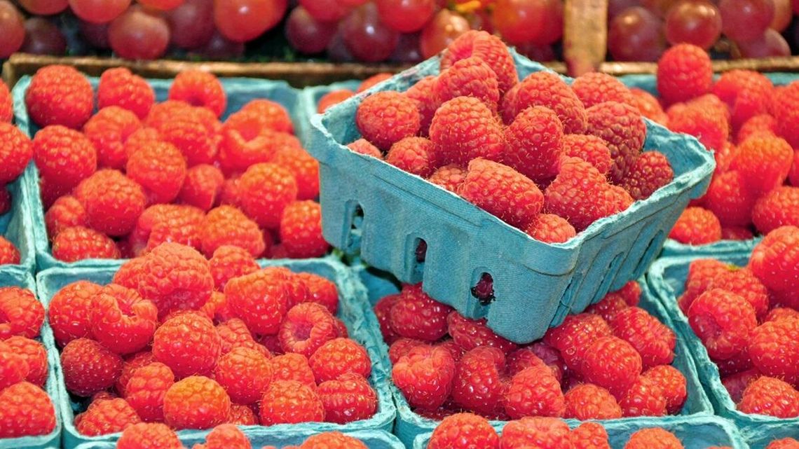 Pierwsze polskie maliny już dostępne. Cena jak za rarytas