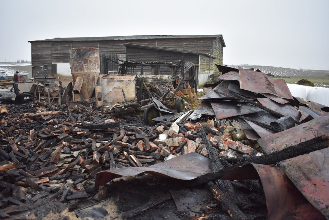 Po pożarze w Piaseckim Polu pilnie potrzebna pomoc i pokarm dla ponad 90 sztuk trzody chlewnej 