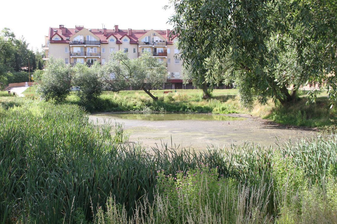 Przetarg na zagospodarowanie terenu przy zbiorniku retencyjnym na Piotrowie