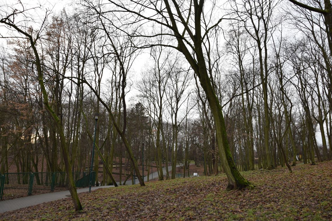 Rewitalizacja parku miejskiego w Tczewie z blisko dwuletnim opóźnieniem Rewitalizacja parku miejskiego w Tczewie z blisko dwuletnim opóźnieniem