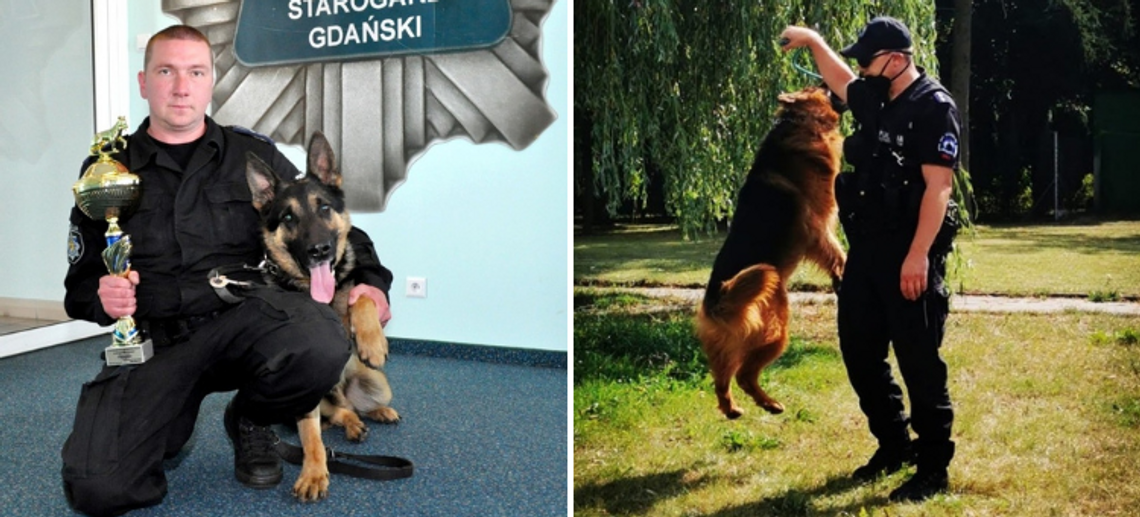 Roki i Szafir - dwa policyjne psy ze starogardzkiej komendy przeszły na emeryturę