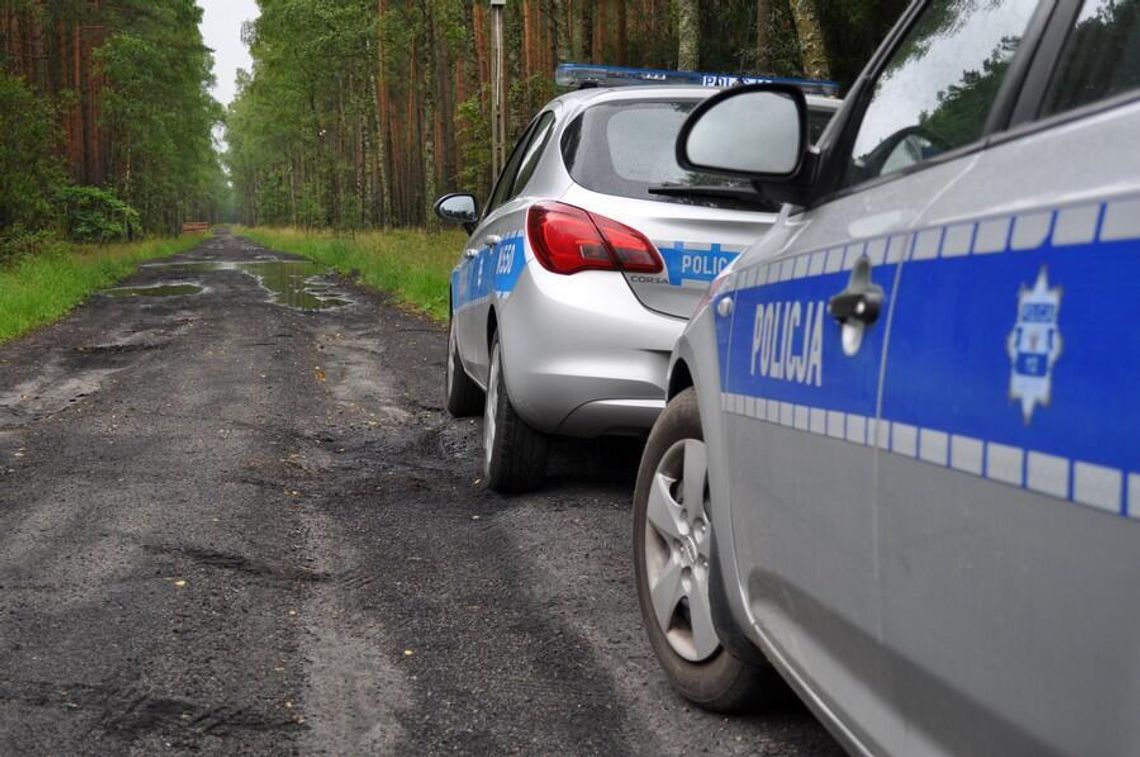 Rozpoczął się sezon grzybobrania. Policjanci przypominają o zasadach bezpieczeństwa w lasach Rozpoczął się sezon grzybobrania. Policjanci przypominają o zasadach bezpieczeństwa w lasach