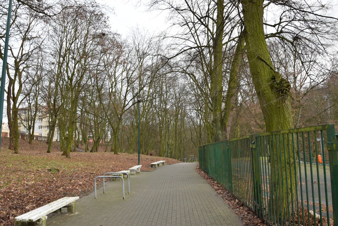 Rozpoczynają się prace w Parku Miejskim. Najpierw rewolucja pod ziemią, potem nowa oblicze alejek