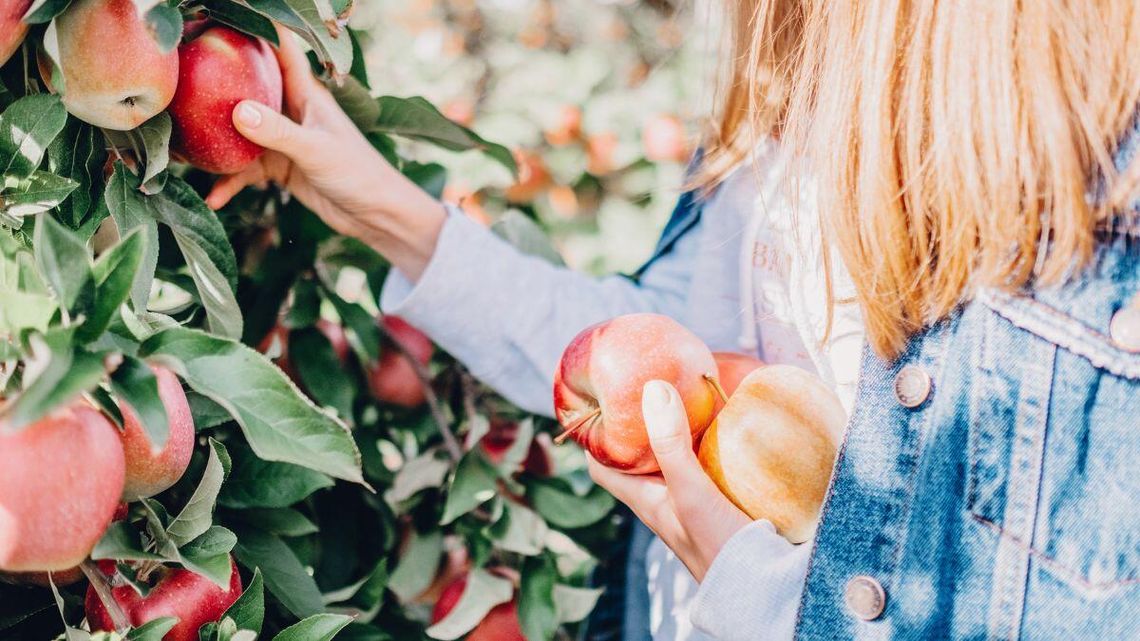 Sklepy grają na ostro z rolnikami. Chodzi o samozbiory