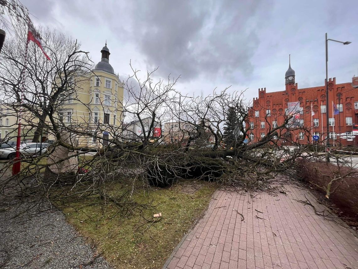 Skutki wichury na Pomorzu. Tczewscy strażacy interweniowali już blisko 60 razy [AKTUALIZACJA]