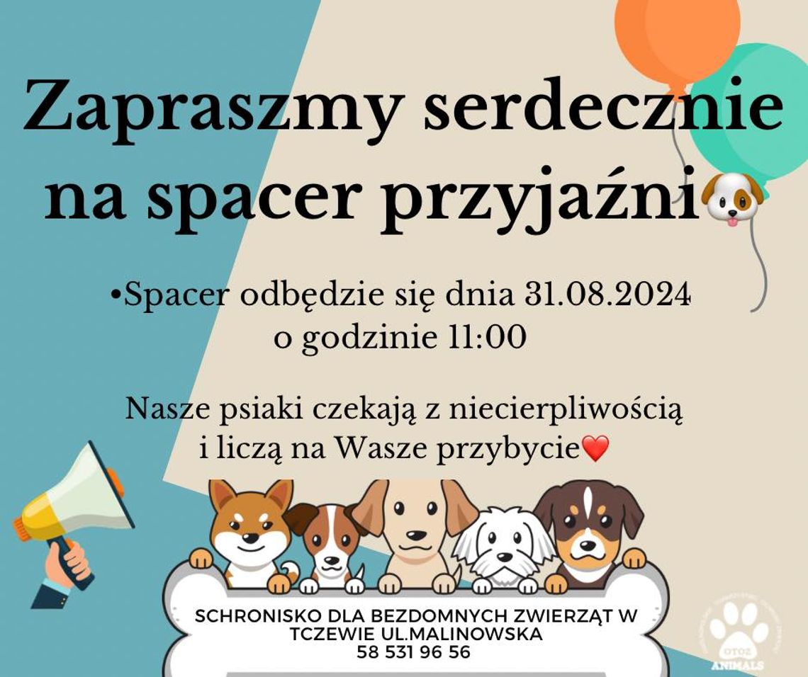 Spacer Przyjaźni z tczewskim schroniskiem