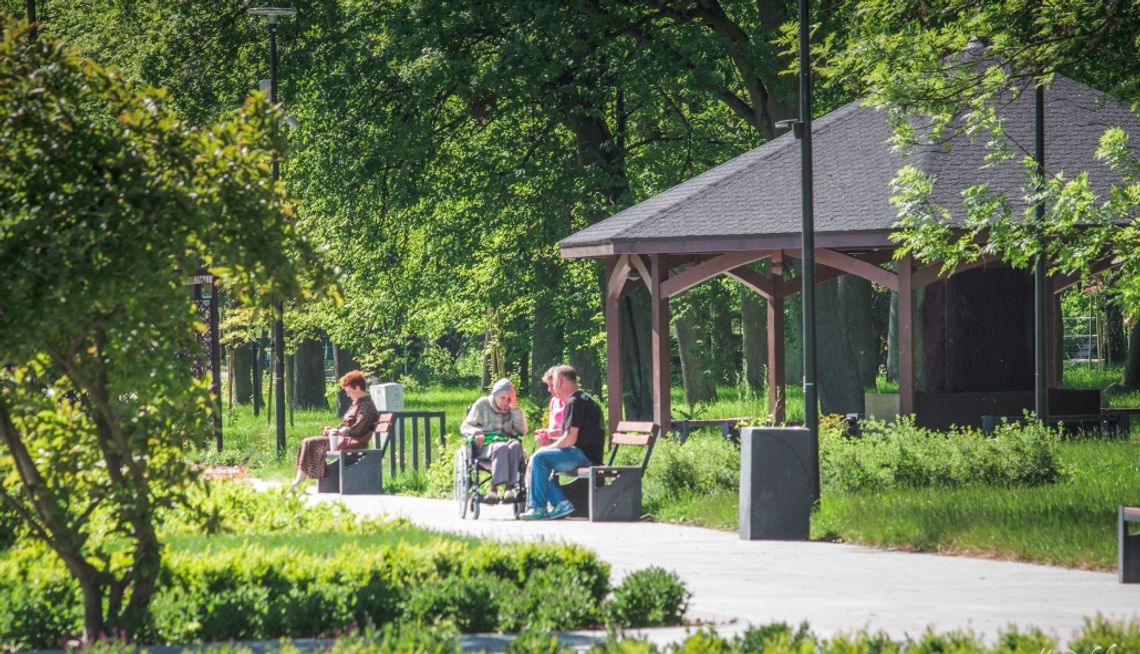 Starogard Gdański: Park miejski liderem dostępności