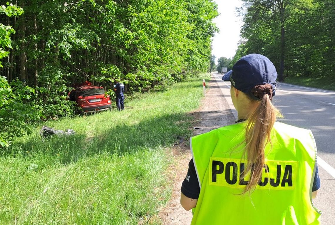 Starogard Gdański: Zderzenie samochodu z łosiem na DK 22 Starogard Gdański: Zderzenie samochodu z łosiem na DK 22