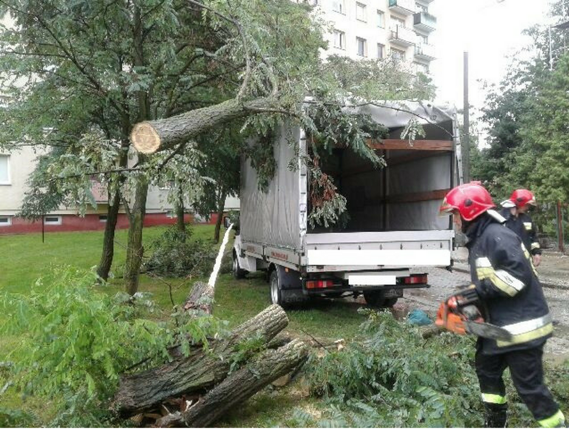 Straż pożarna: Drzewo spadło na samochód przy ulicy Jagiełły, a w Damaszce zgłoszono pożaru lasu
