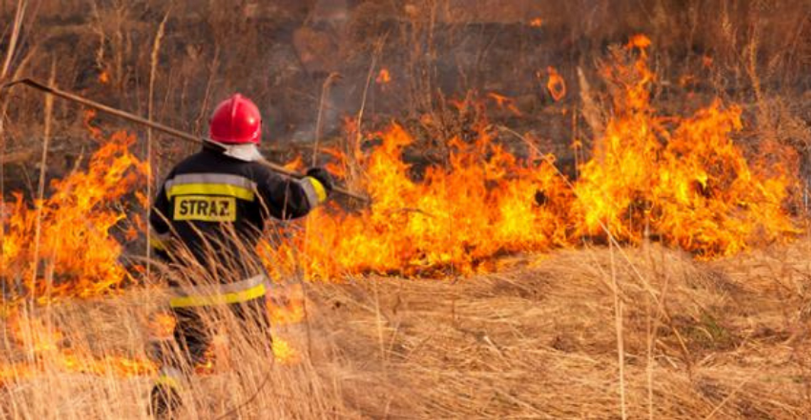 Strażacy apelują o rozsądek! Wypalanie traw jest bardzo niebezpieczne oraz karalne