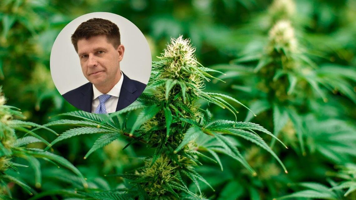 Szykuje się niezła awantura w Sejmie. O posiadania marihuany