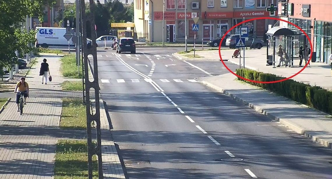 Tczew: Pies ugryzł mężczyznę. Policja szuka świadków