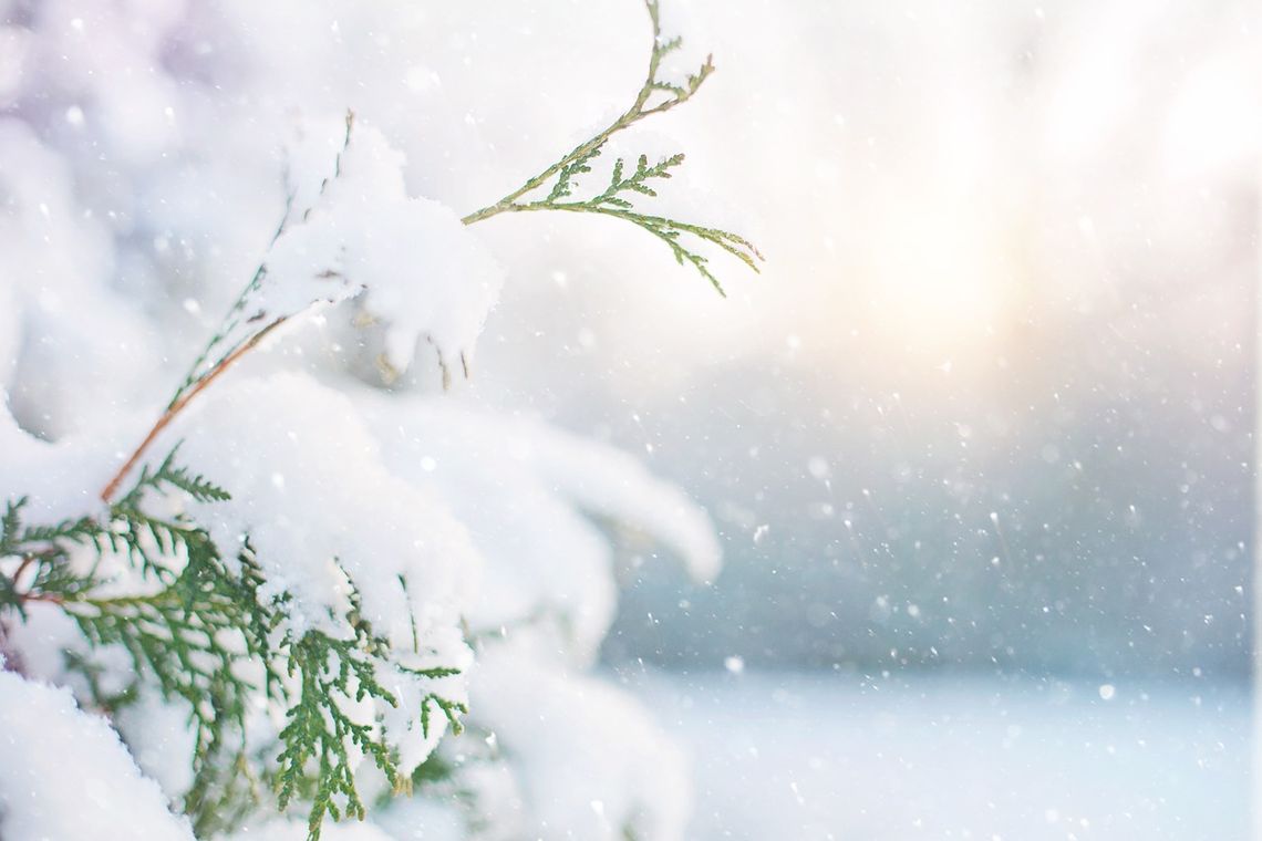 Uwaga, idą śnieżyce! [OSTRZEŻENIE METEOROLOGICZNE]