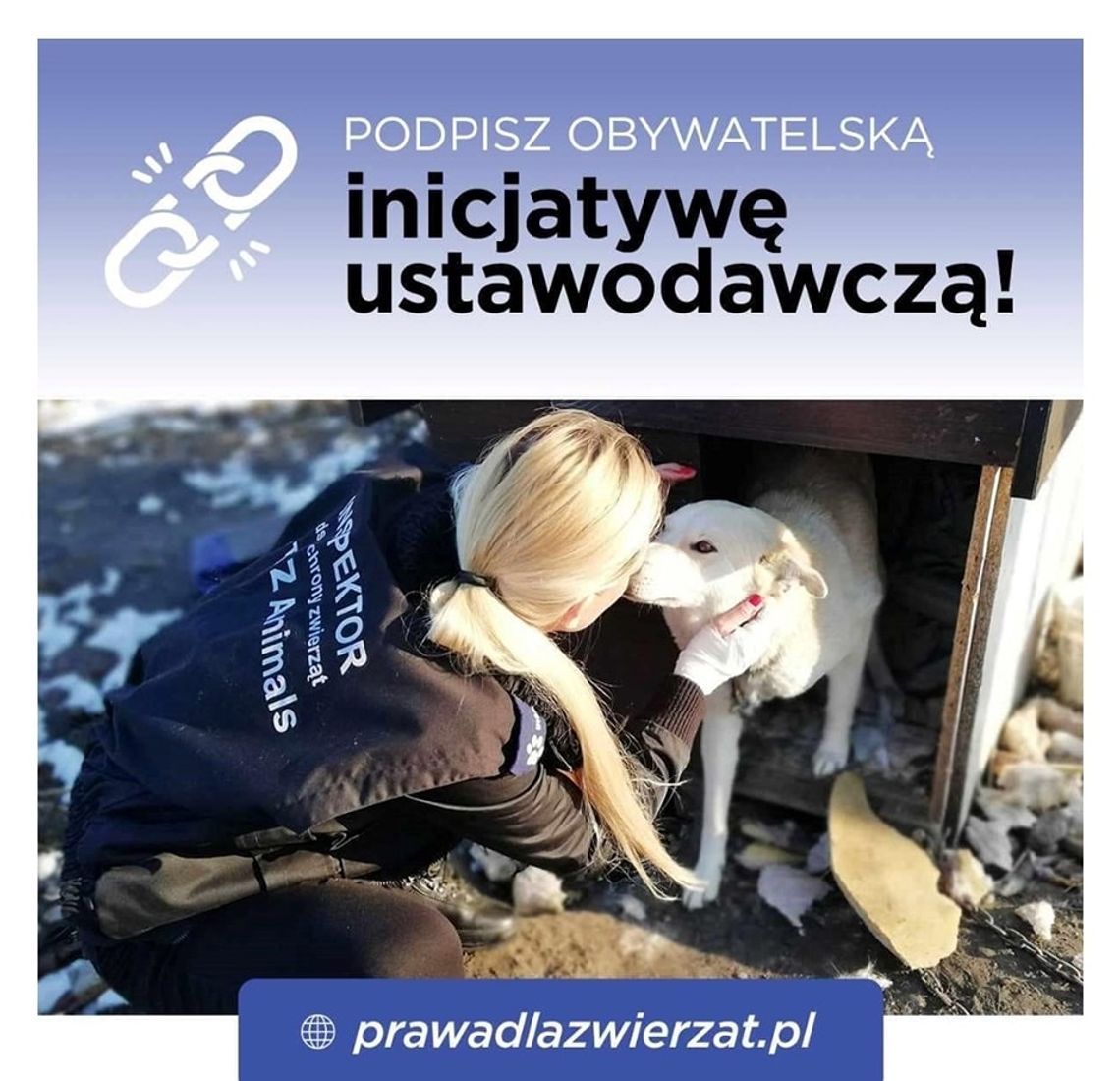 Uwolnijmy psy z łańcuchów! Potrzeba 100 000 podpisów