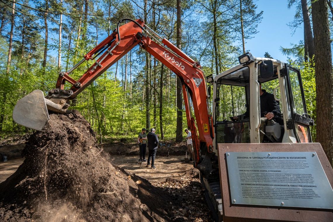 W Lesie Szpęgawskim odnaleziono zbiorową mogiłę z czasów wojny