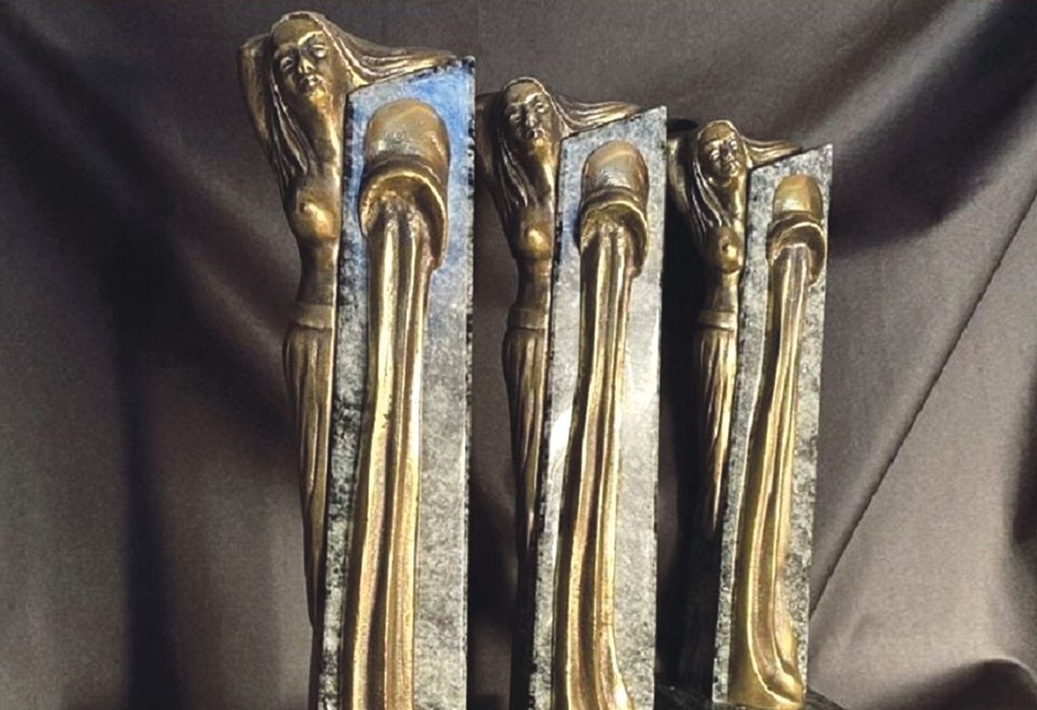 Starogard Gdański wyróżni najlepszych. Ruszył nabór do Wierzyczanek