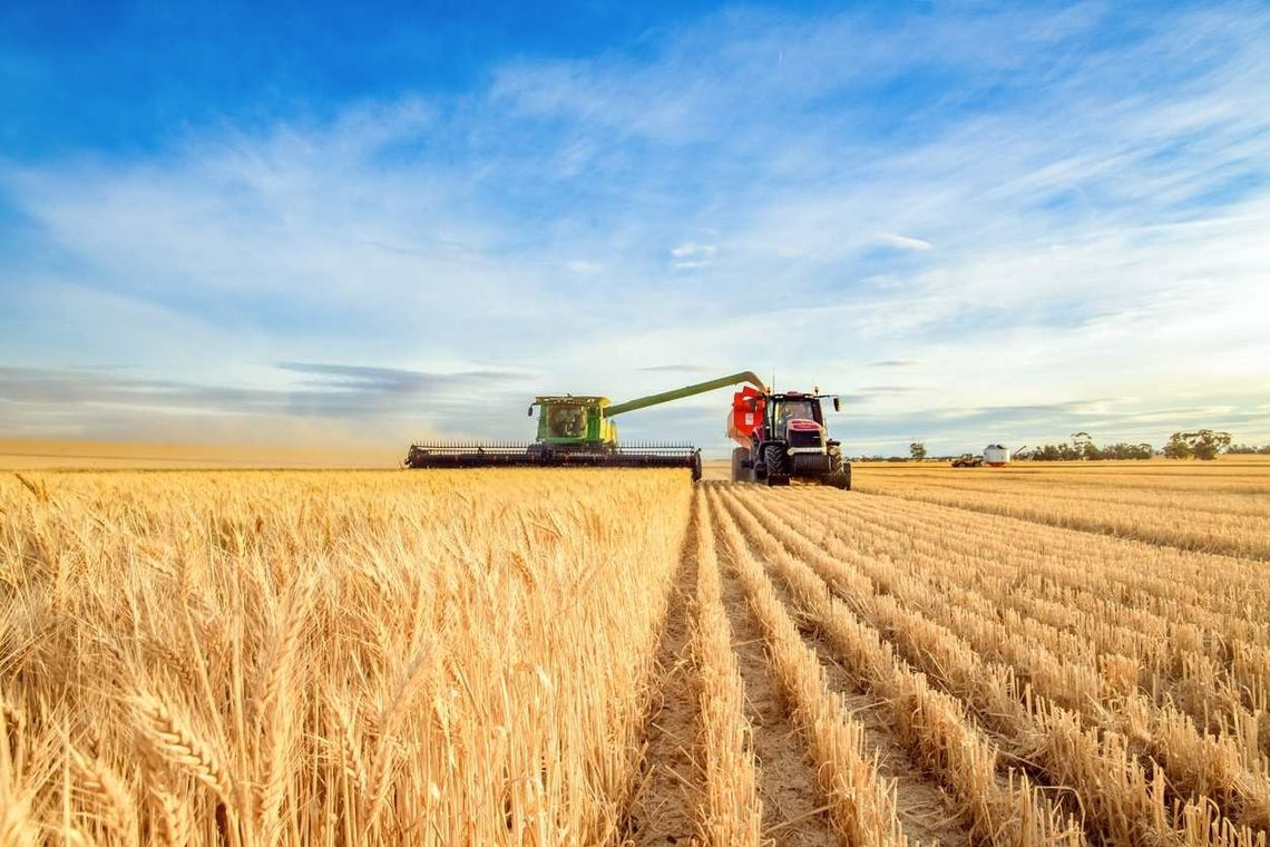 Wojna destabilizuje rynek zbóż.. To oznacza tylko jedno: podwyżki cen