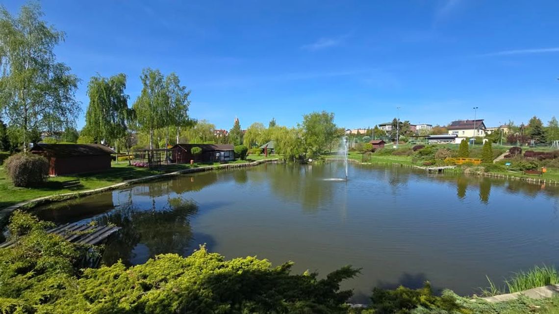 Zagospodarowanie Osiedla Witosa. Wpłynęły dwie oferty w przetargu