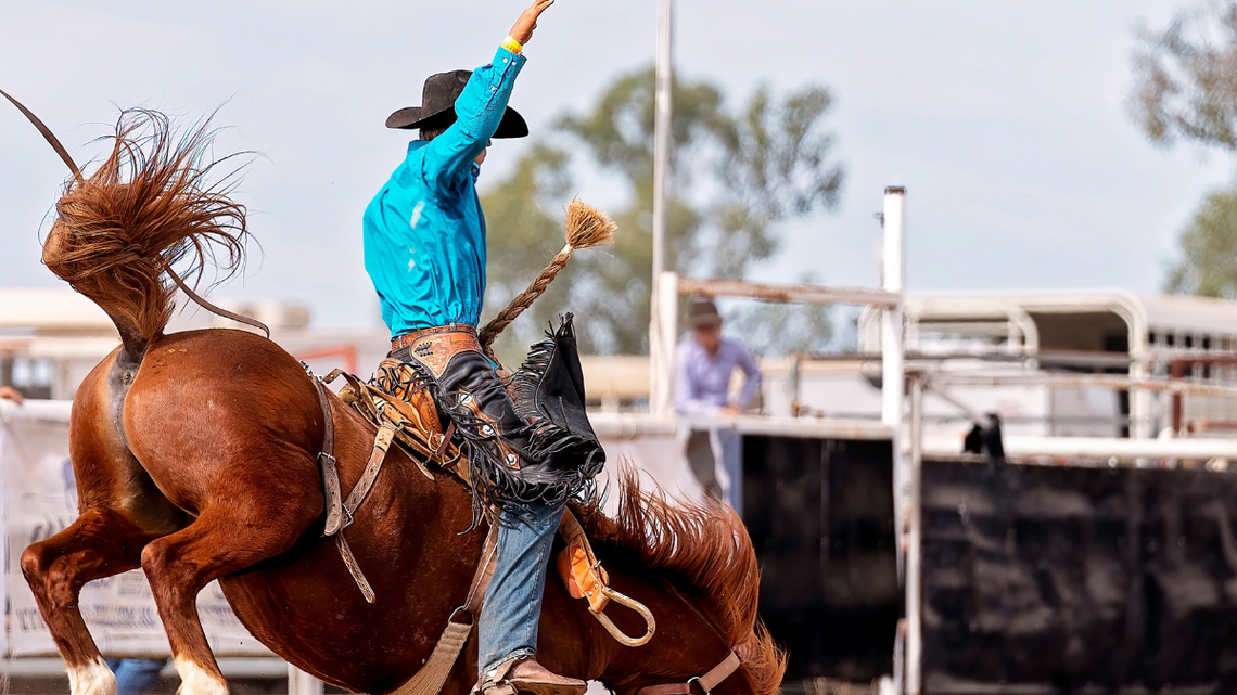 Zakazali rodeo. Miasto uznało, że to łamanie prawa