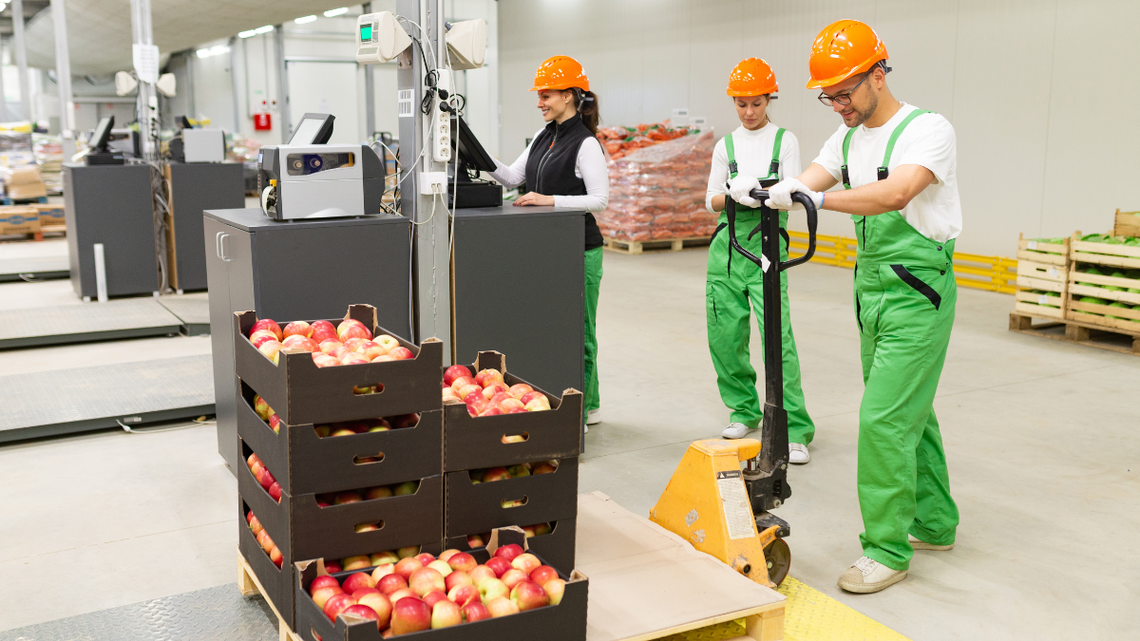 Zarabiamy mniej niż Zachód, chociaż gospodarka nam kwitnie