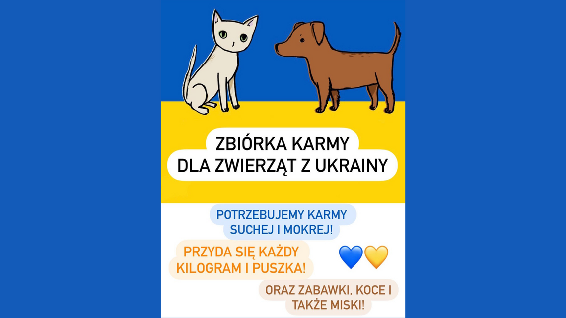 Tczew: Zbiórka karmy dla zwierząt w Ukrainie trwa do końca maja