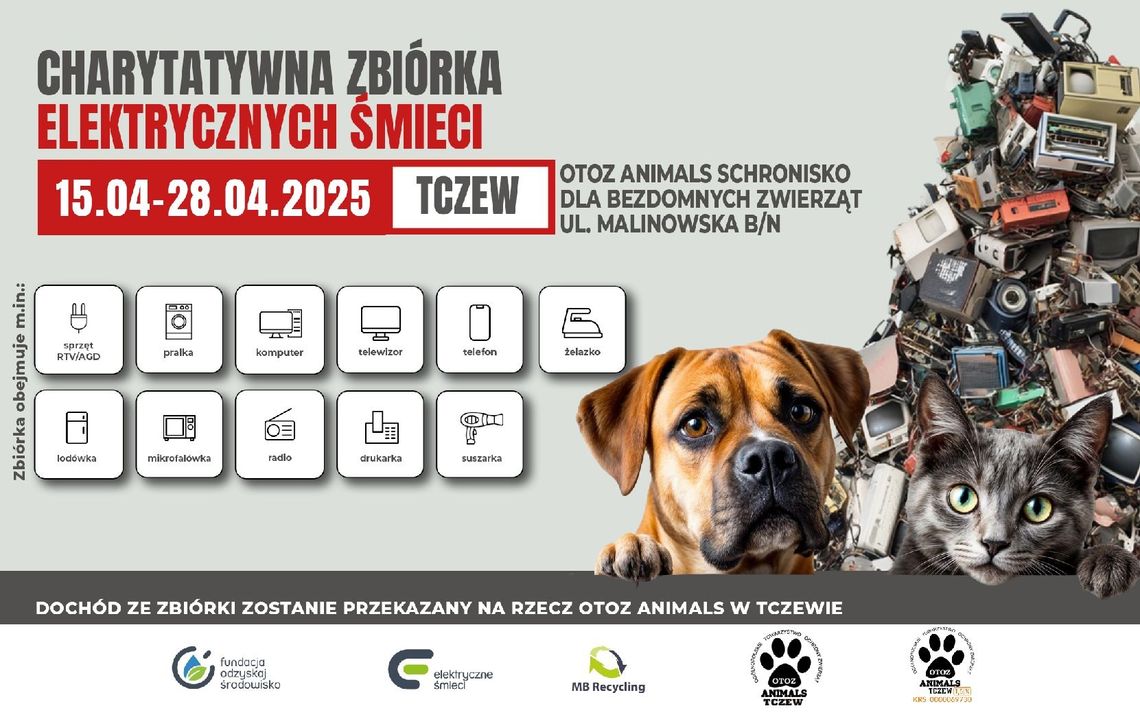 Zbiórka elektrośmieci na rzecz bezdomnych zwierząt. Akcja potrwa do 28 kwietnia