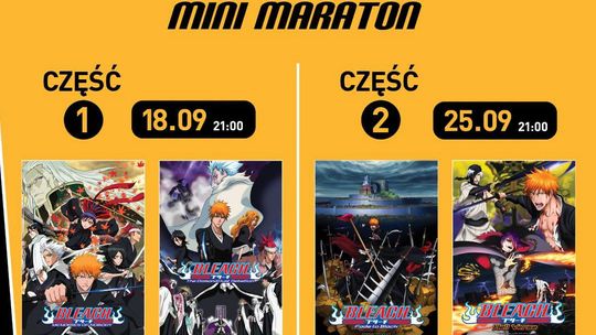 Bleach Mini Maraton Część 1