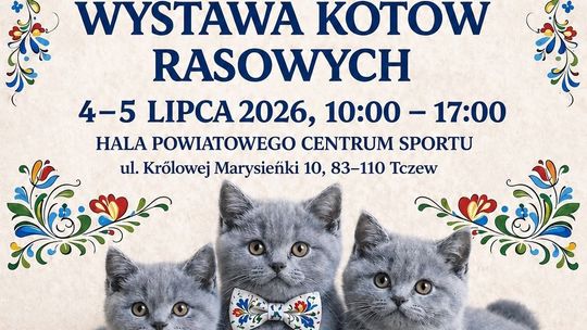 Międzynarodowa Wystawa Kotów Rasowych