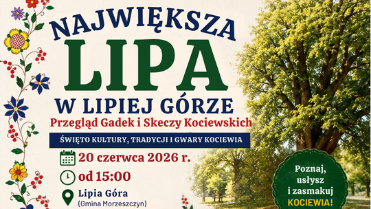 Największa Lipa w Lipiej Górze