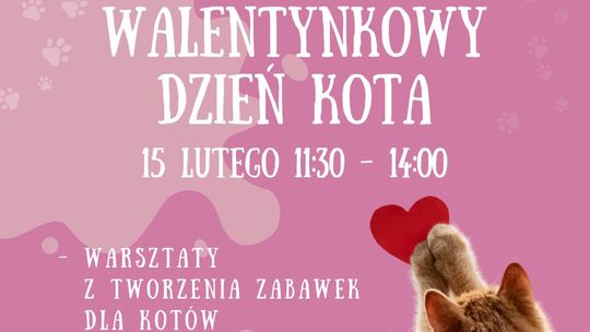 Walentynkowy Dzień Kota w Schronisku