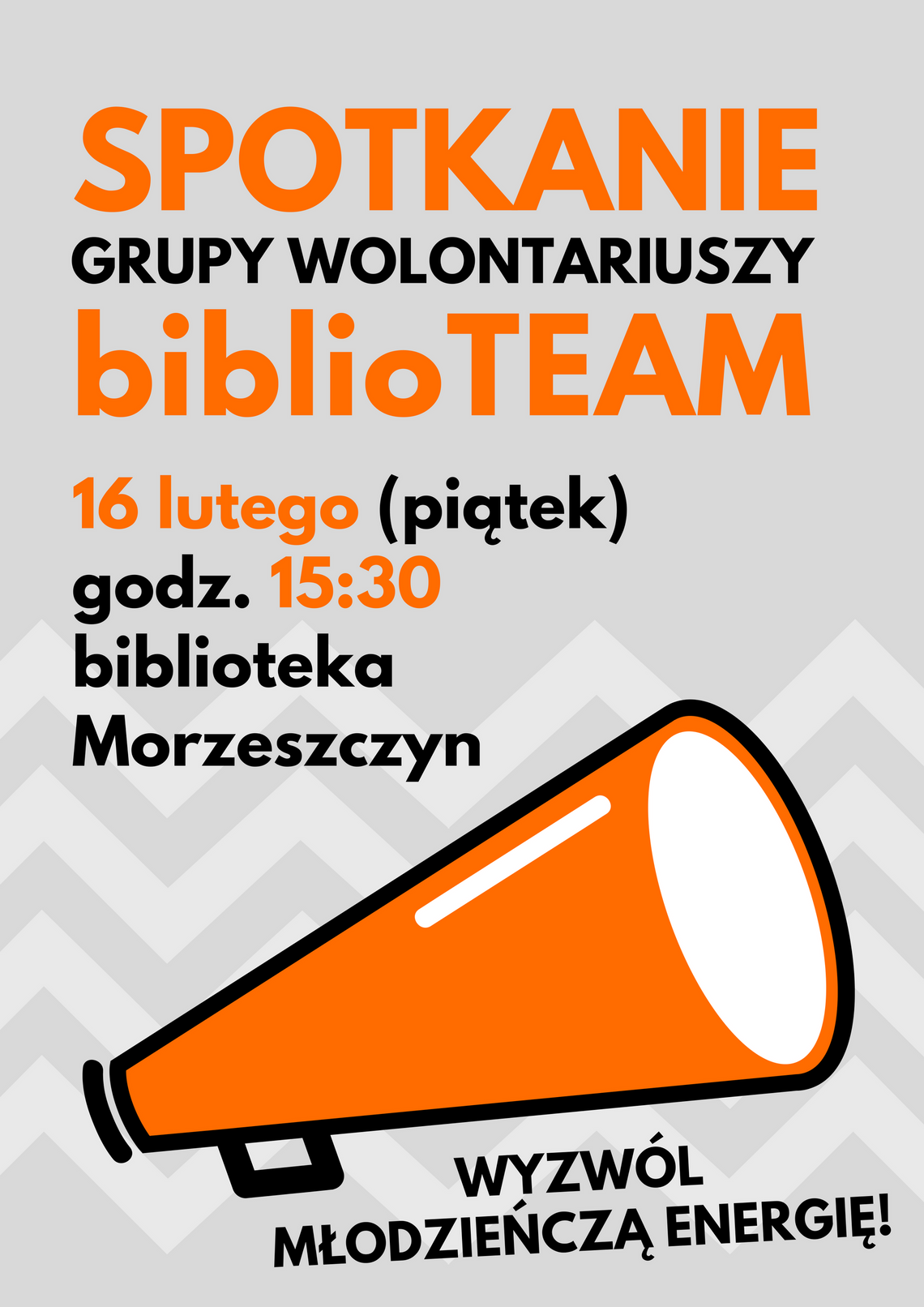 biblioTEAM - spotkanie wolontariatu!