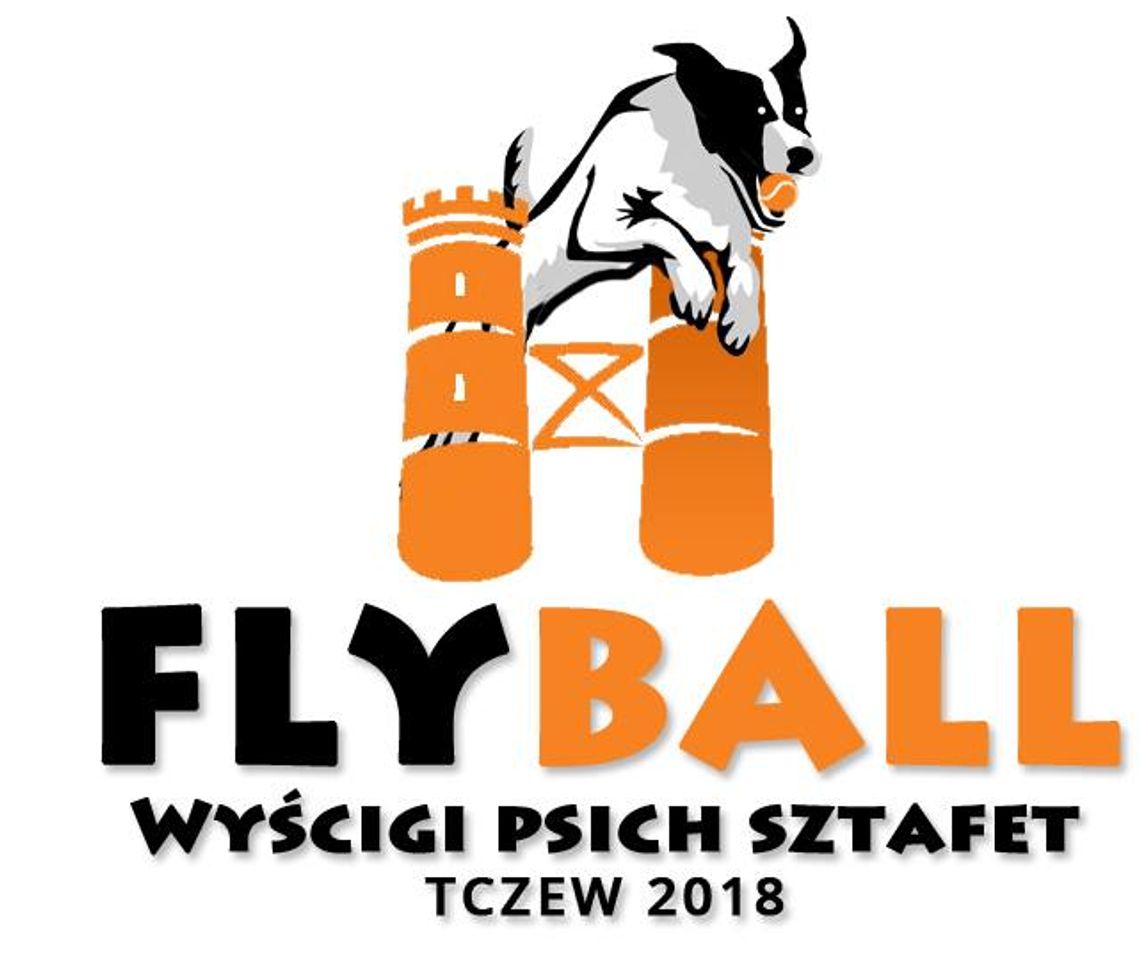 Flyball - Wyścigi psich sztafet - Tczew 2018