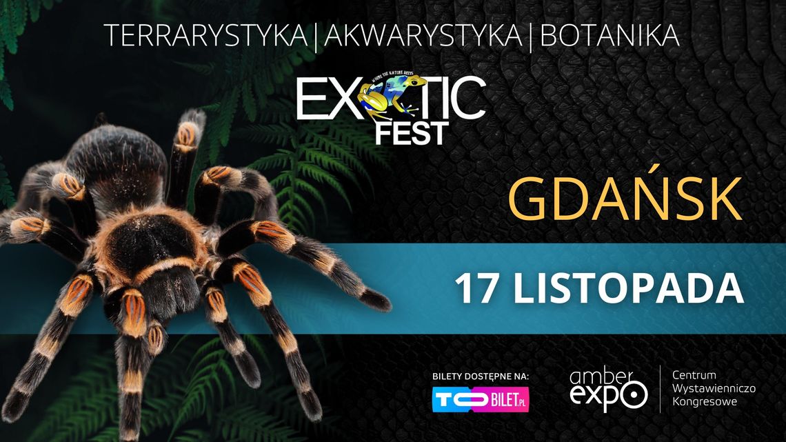 Gdańsk: Exotic Fest