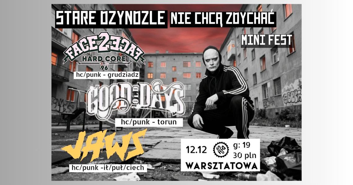 Koncert: Stare Dzyndzle Nie Chcą Zdychać Mini Fest