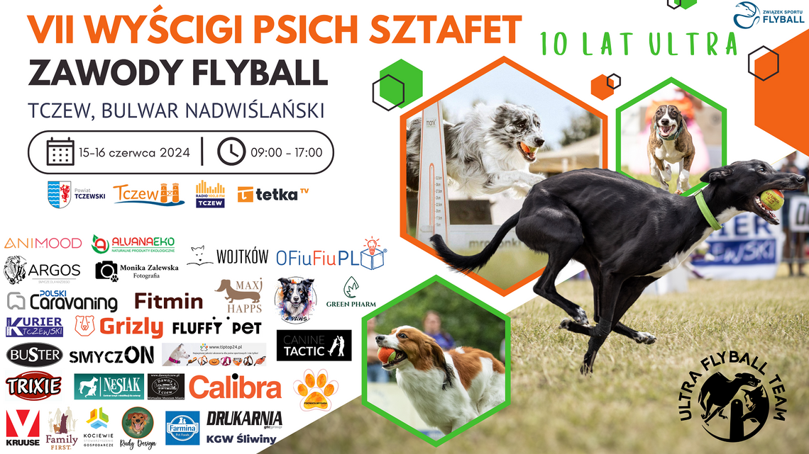 VII edycja zawodów flyball – Wyścigi Psich Sztafet! VII edycja zawodów flyball – Wyścigi Psich Sztafet!