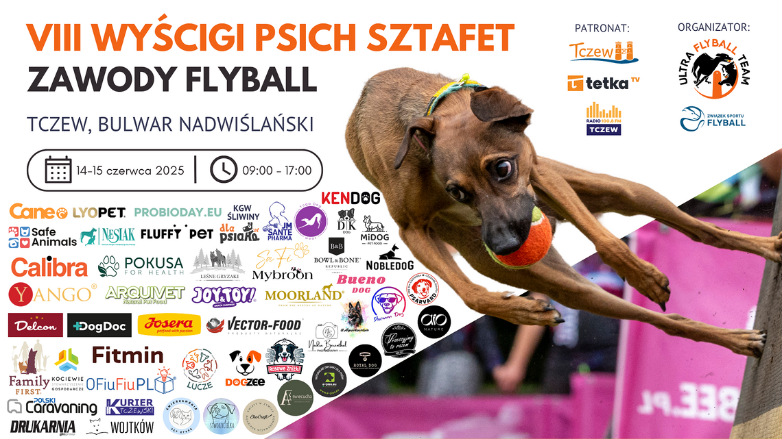 VIII Ogólnopolskie Zawody Flyball – wyścigi psich sztafet w Tczewie! VIII Ogólnopolskie Zawody Flyball – wyścigi psich sztafet w Tczewie!