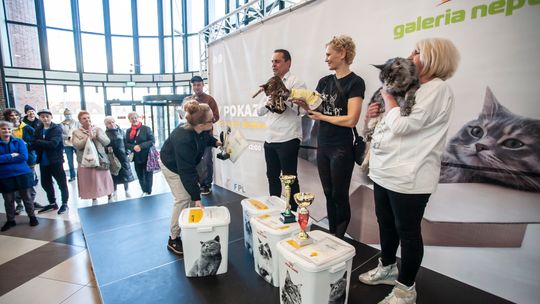 Wydarzenia w Galerii Neptun