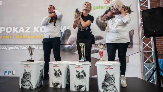 Wydarzenia w Galerii Neptun