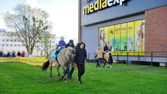 Wydarzenia w Galerii Neptun