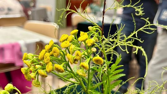 Sympozjum Kulinarne "O jeściu na Kociewiu" 2025