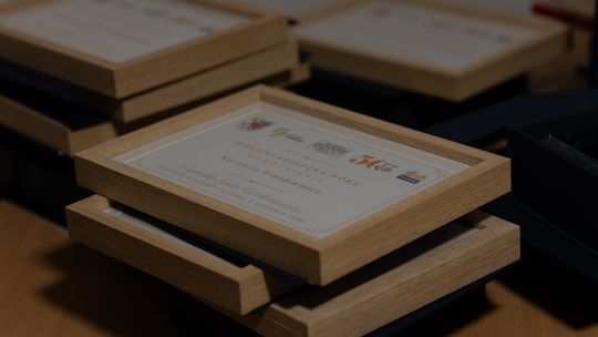 Wyróżnienia Tczewska Gala Wolontariatu 2.jpg